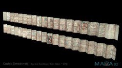 Maya Codex Dresden SLUB